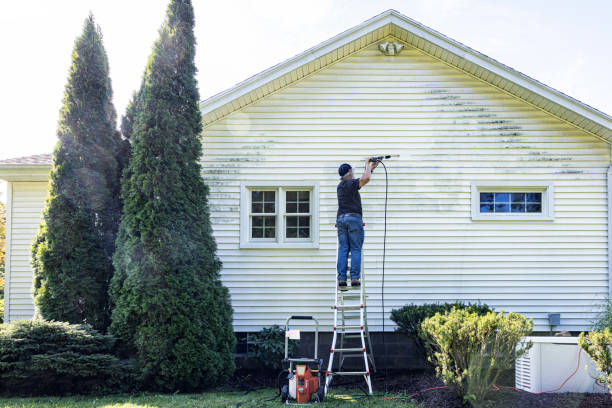 Pre-Holiday Cleaning in Redwood, OR